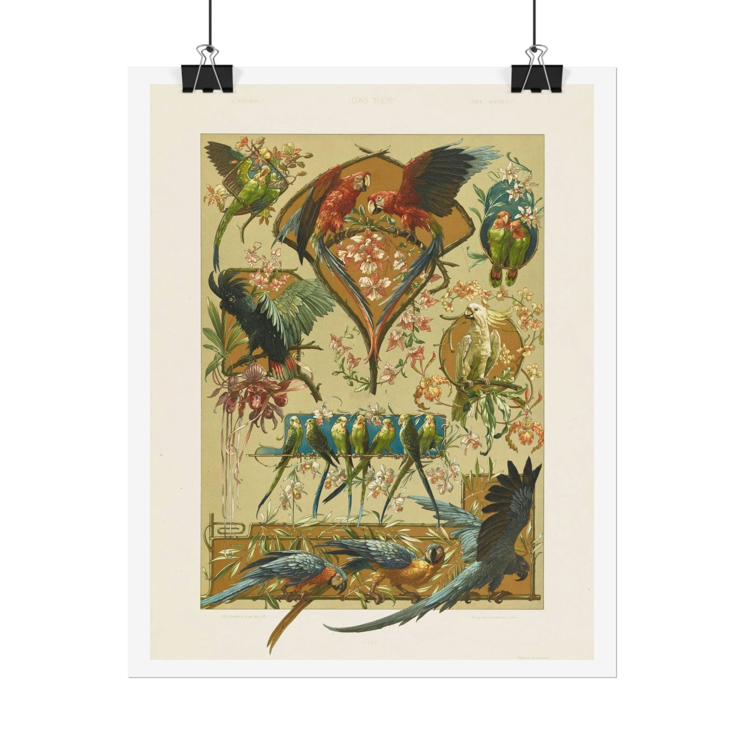 Parrots - from "The Animal in Decorative Art"