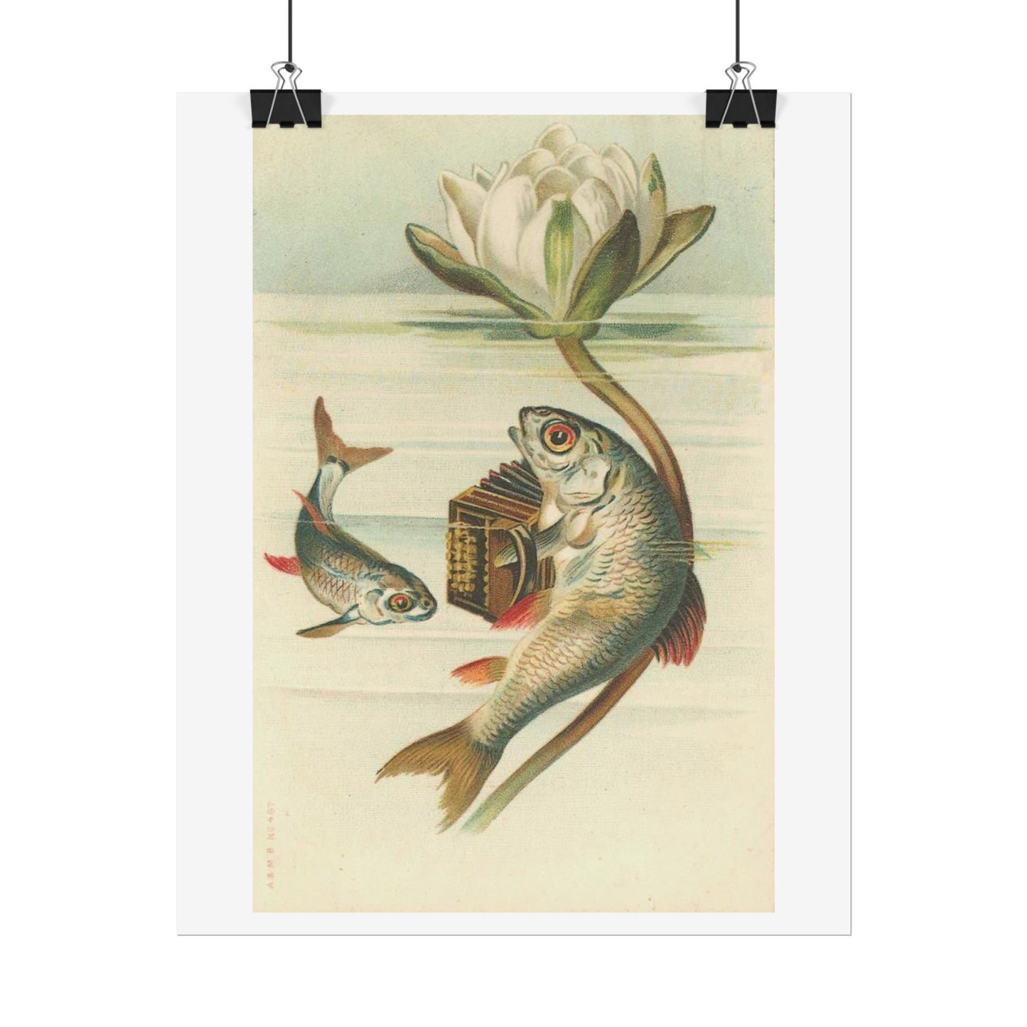 Fish Playing Accordion and Water Lilly