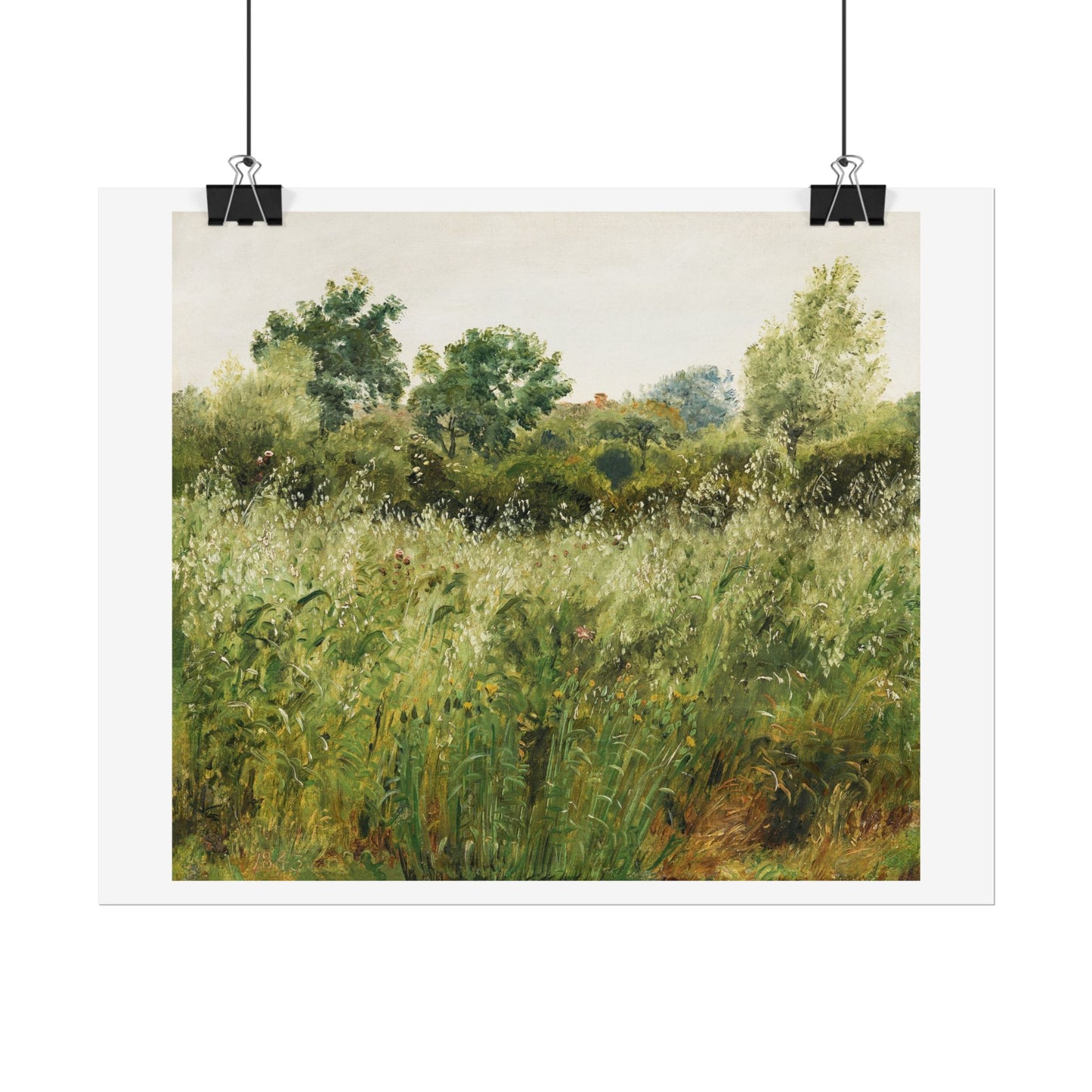 Field of Oats near Vejby