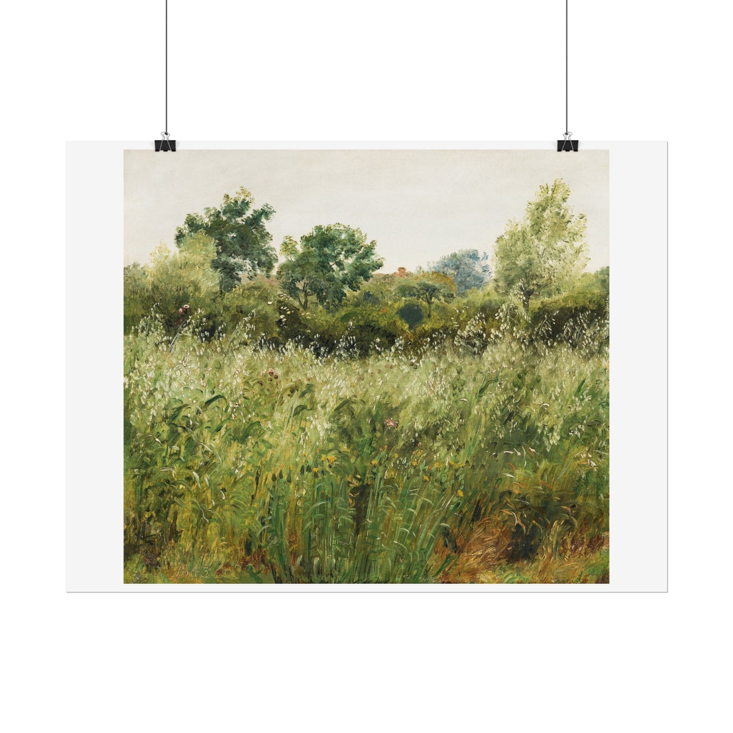 Field of Oats near Vejby