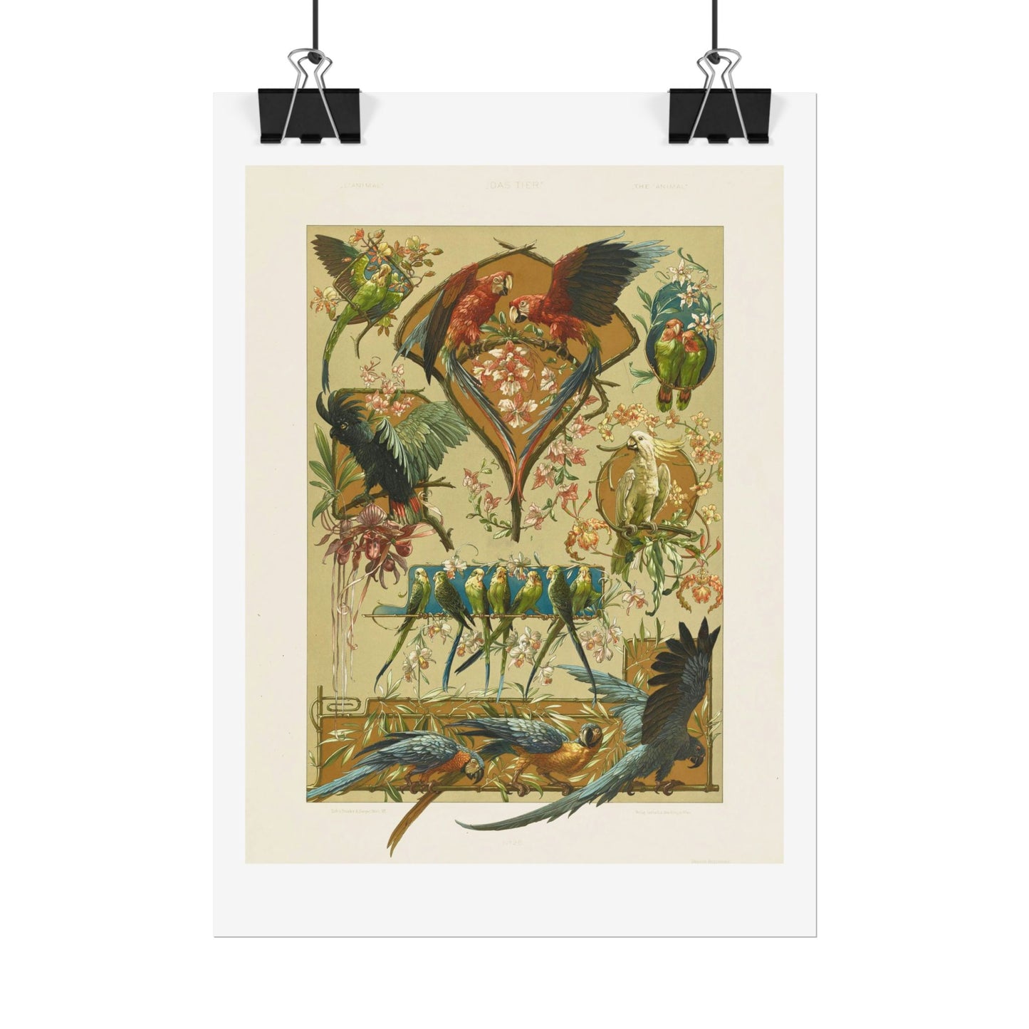Parrots - from "The Animal in Decorative Art"