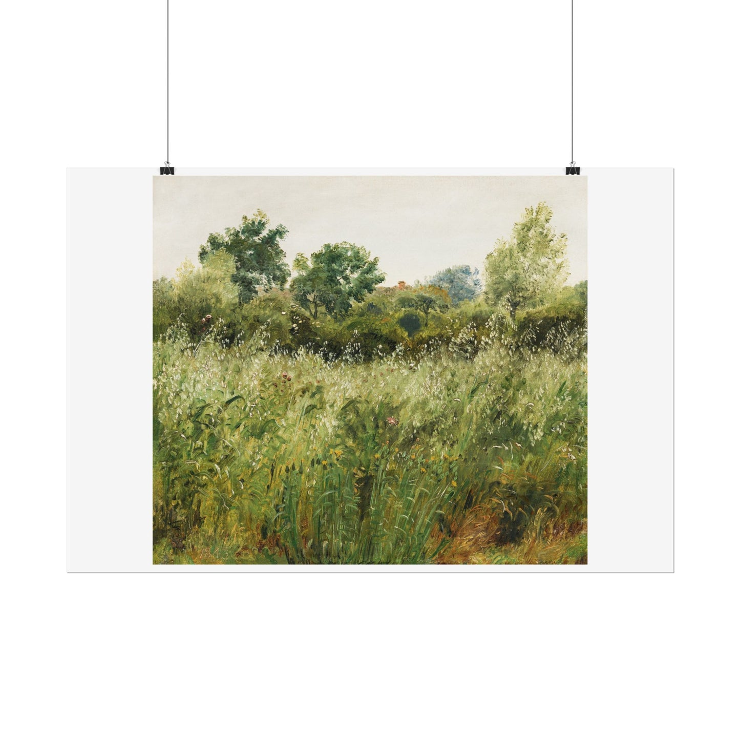 Field of Oats near Vejby
