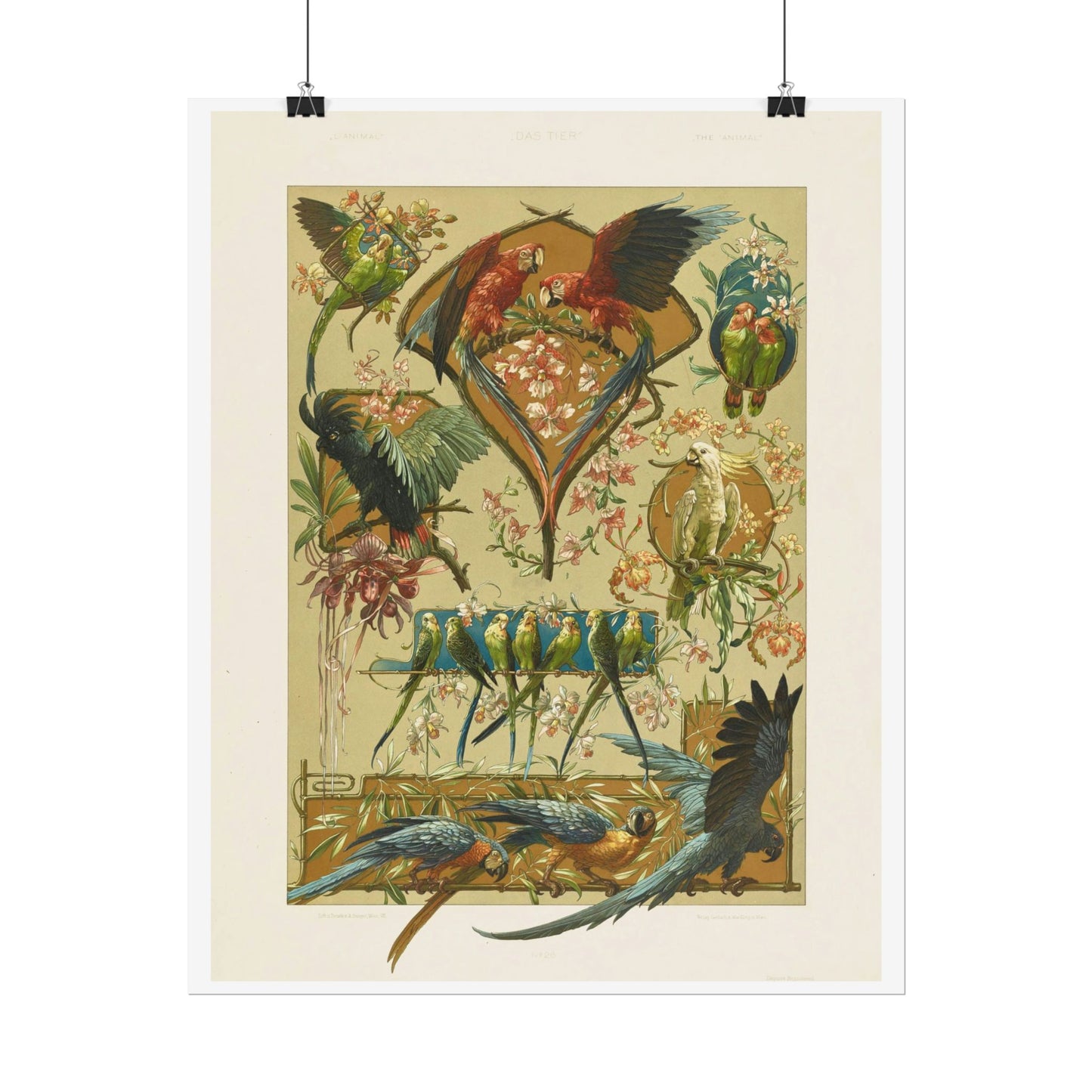 Parrots - from "The Animal in Decorative Art"