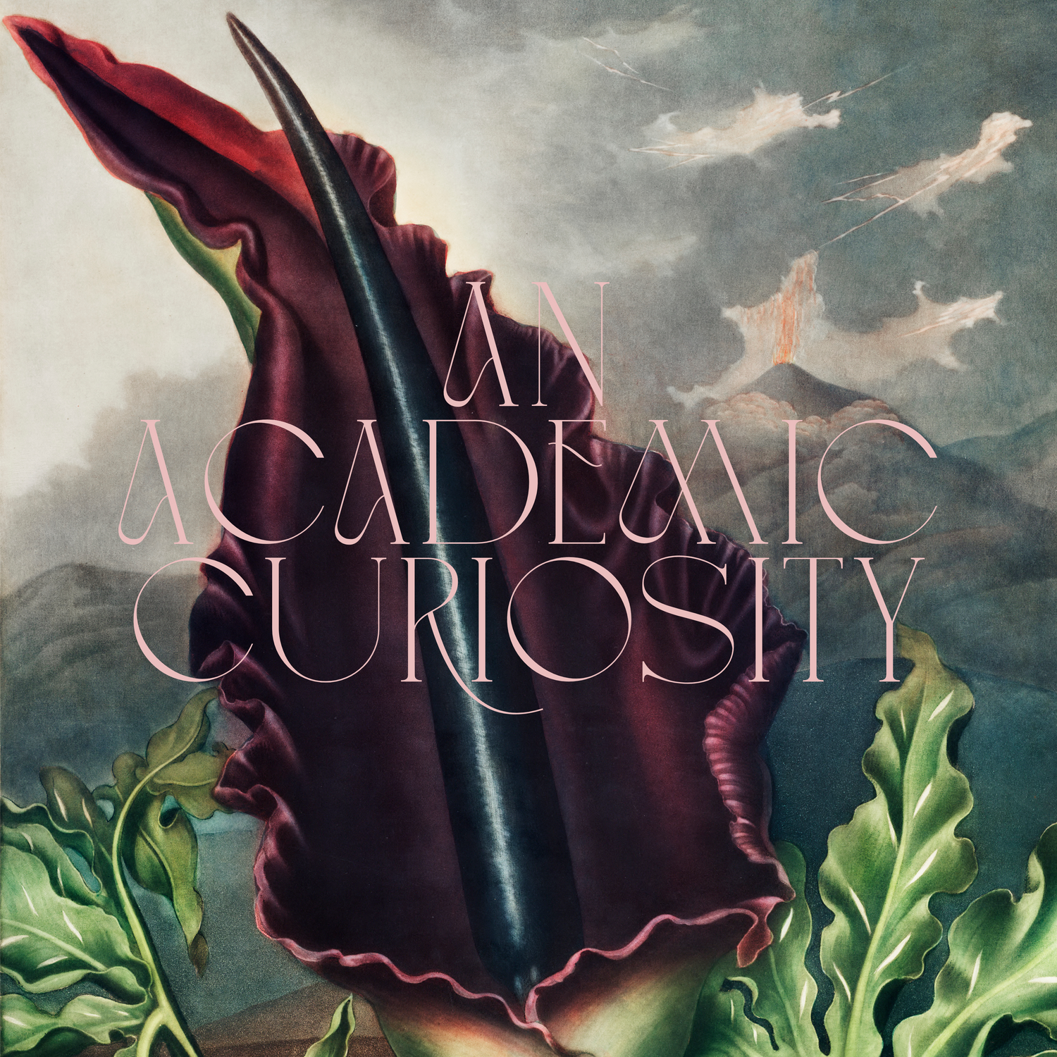 An Academic Curiosity