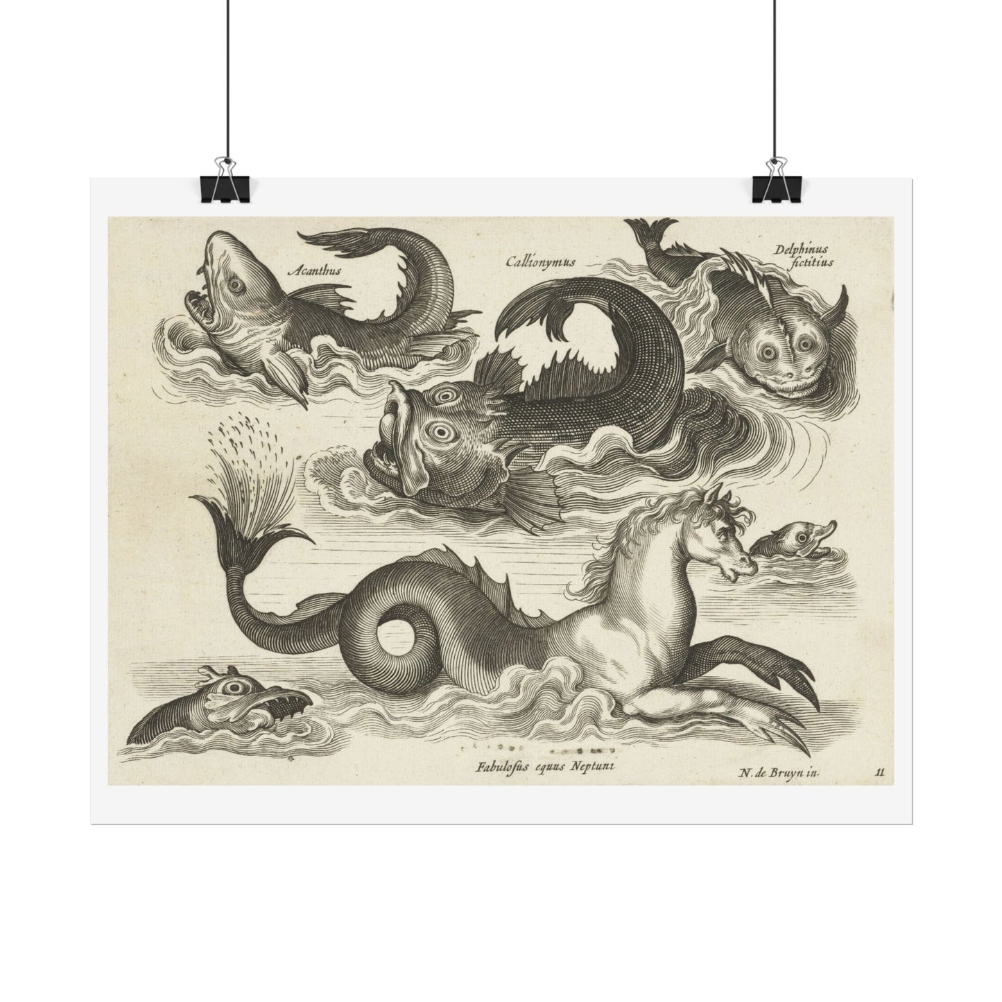 Fantastic Invertebrates, Including a Seahorse.