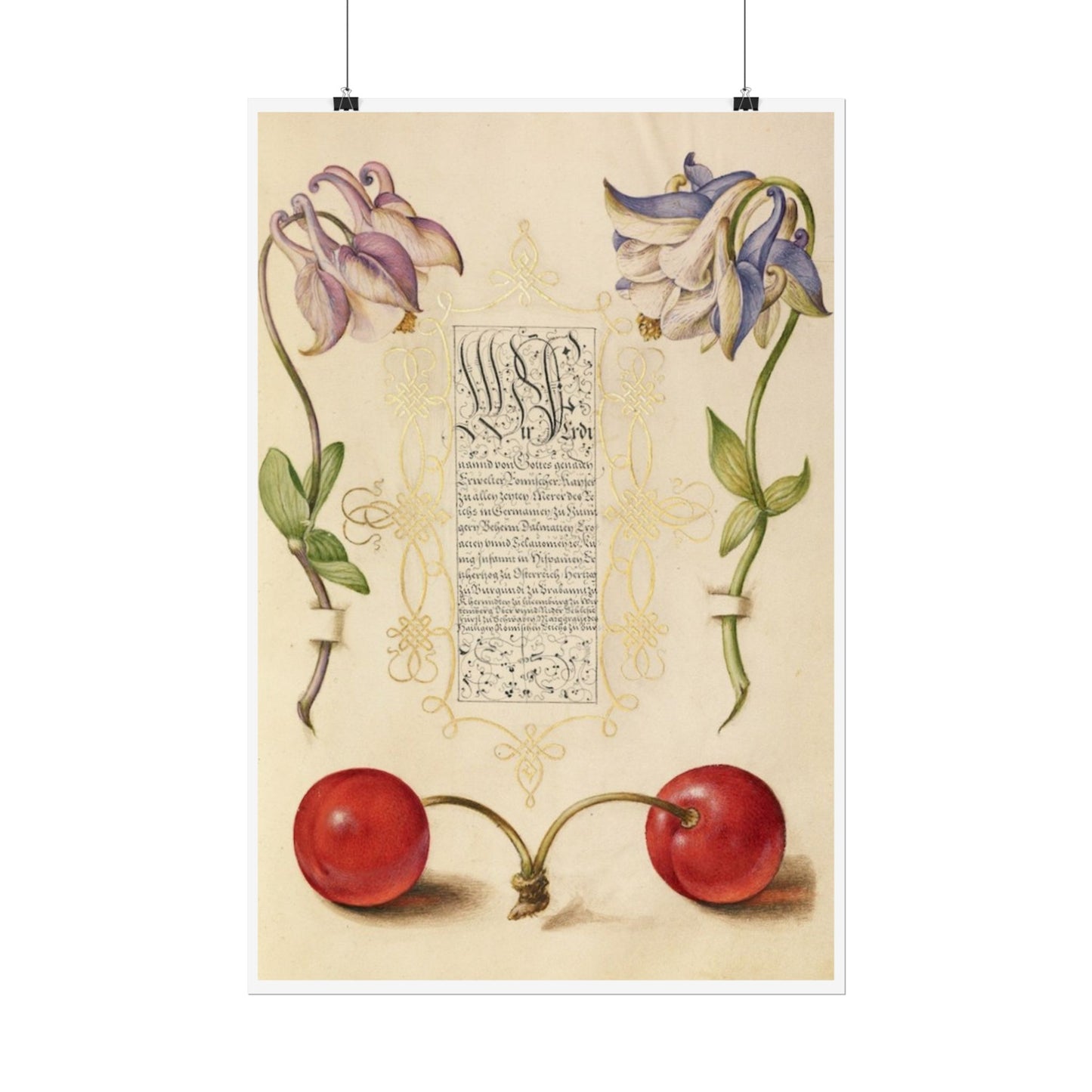 European Columbines and Sweet Cherry