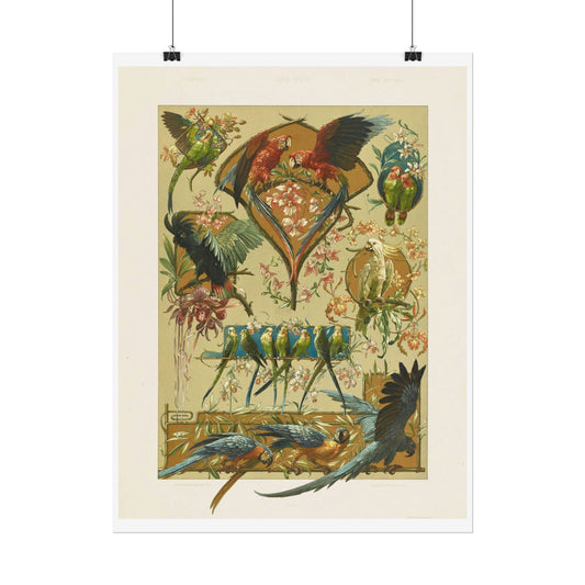Parrots - from "The Animal in Decorative Art"
