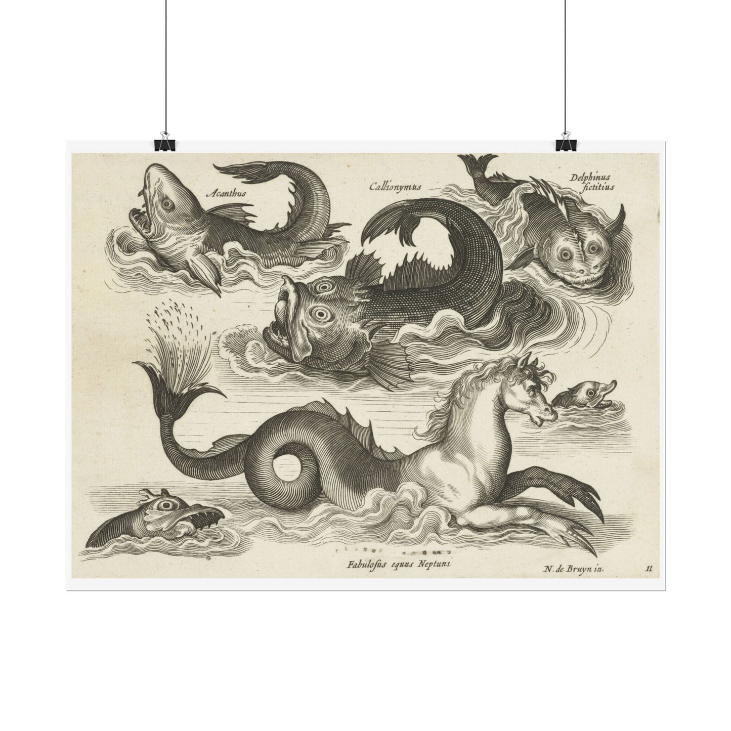 Fantastic Invertebrates, Including a Seahorse.