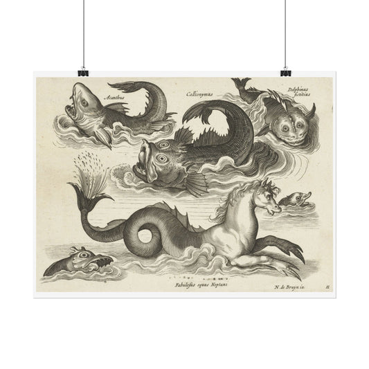 Fantastic Invertebrates, Including a Seahorse.