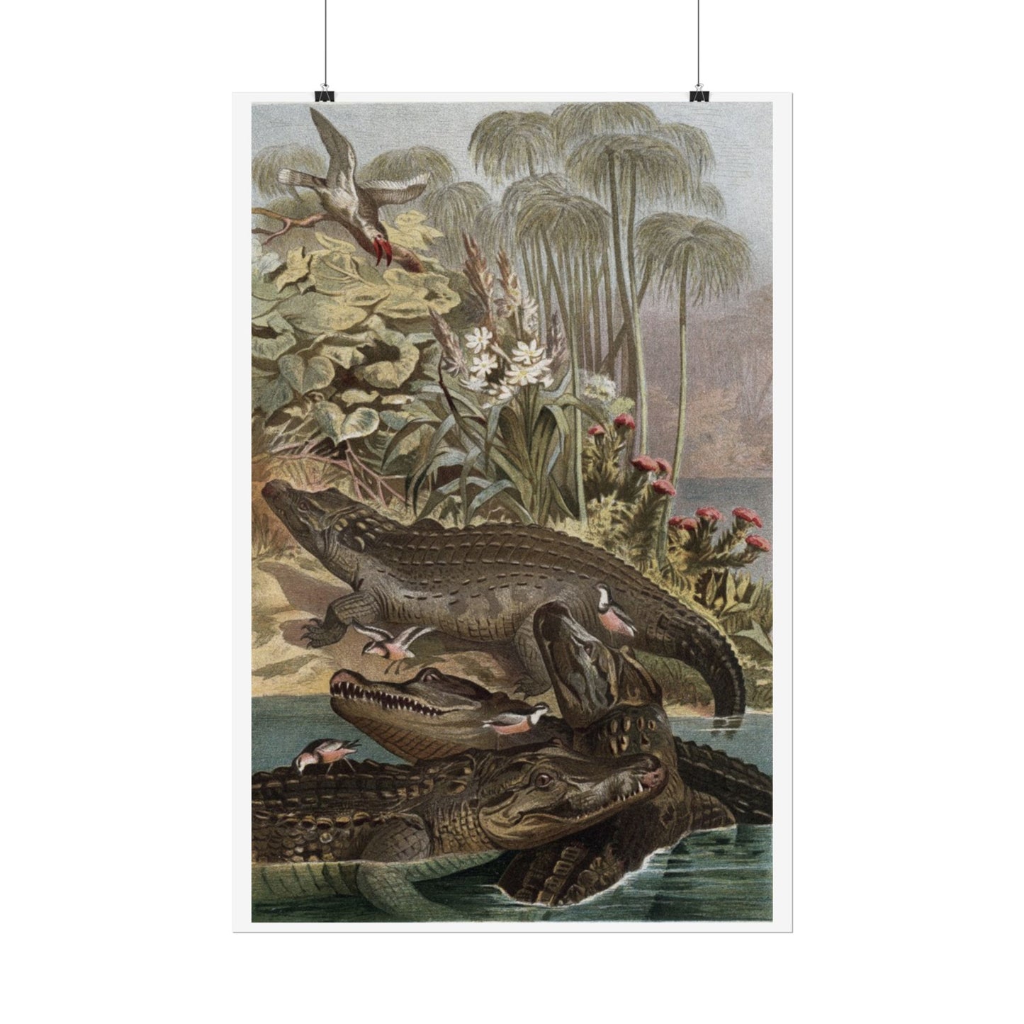 Nile Crocodile - Colourised Engraving from "Brehm's Life of Animals"