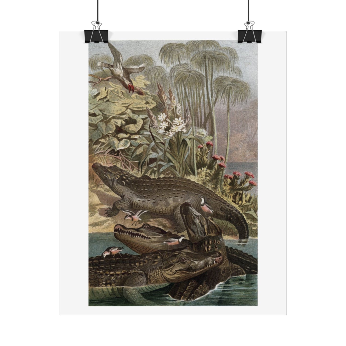 Nile Crocodile - Colourised Engraving from "Brehm's Life of Animals"