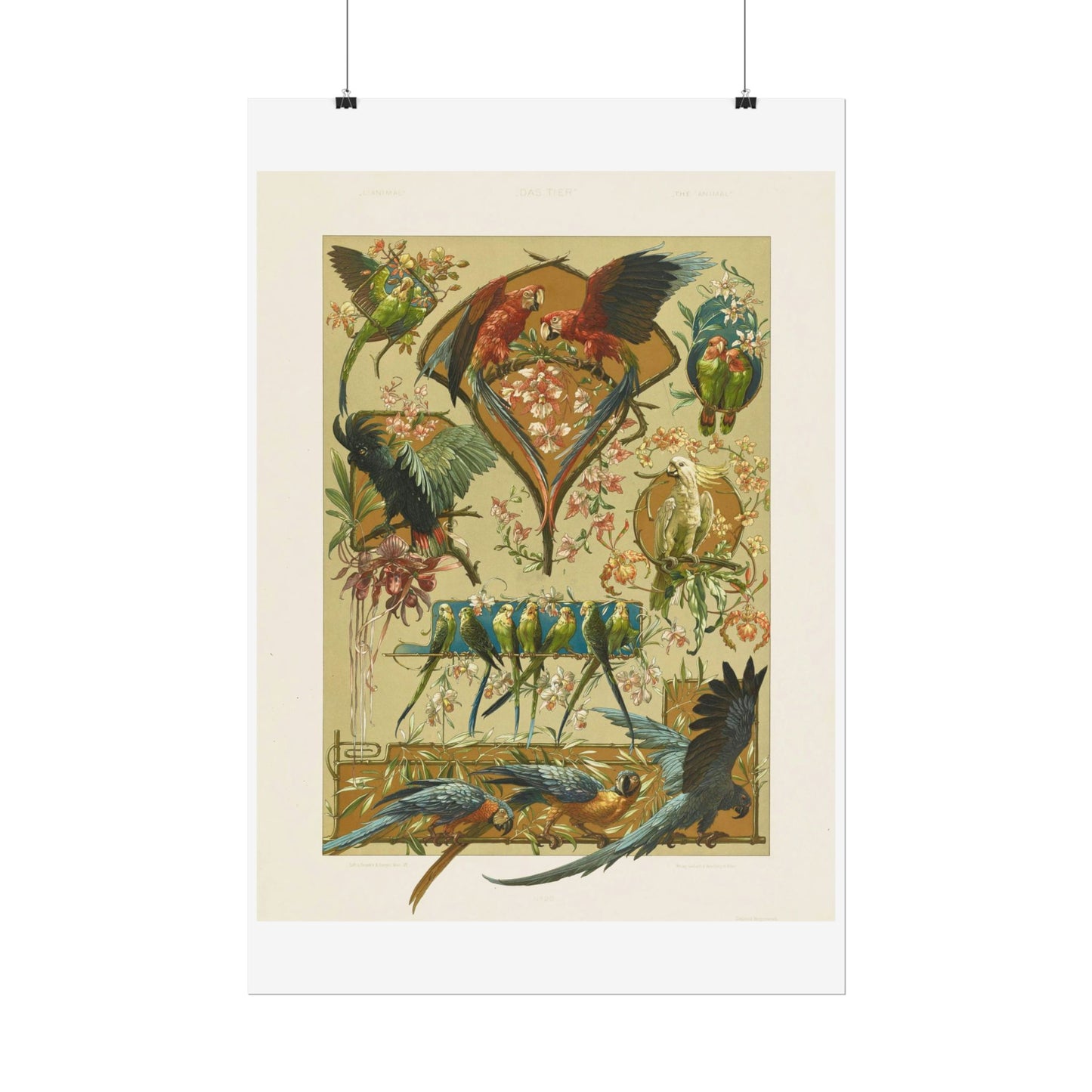 Parrots - from "The Animal in Decorative Art"