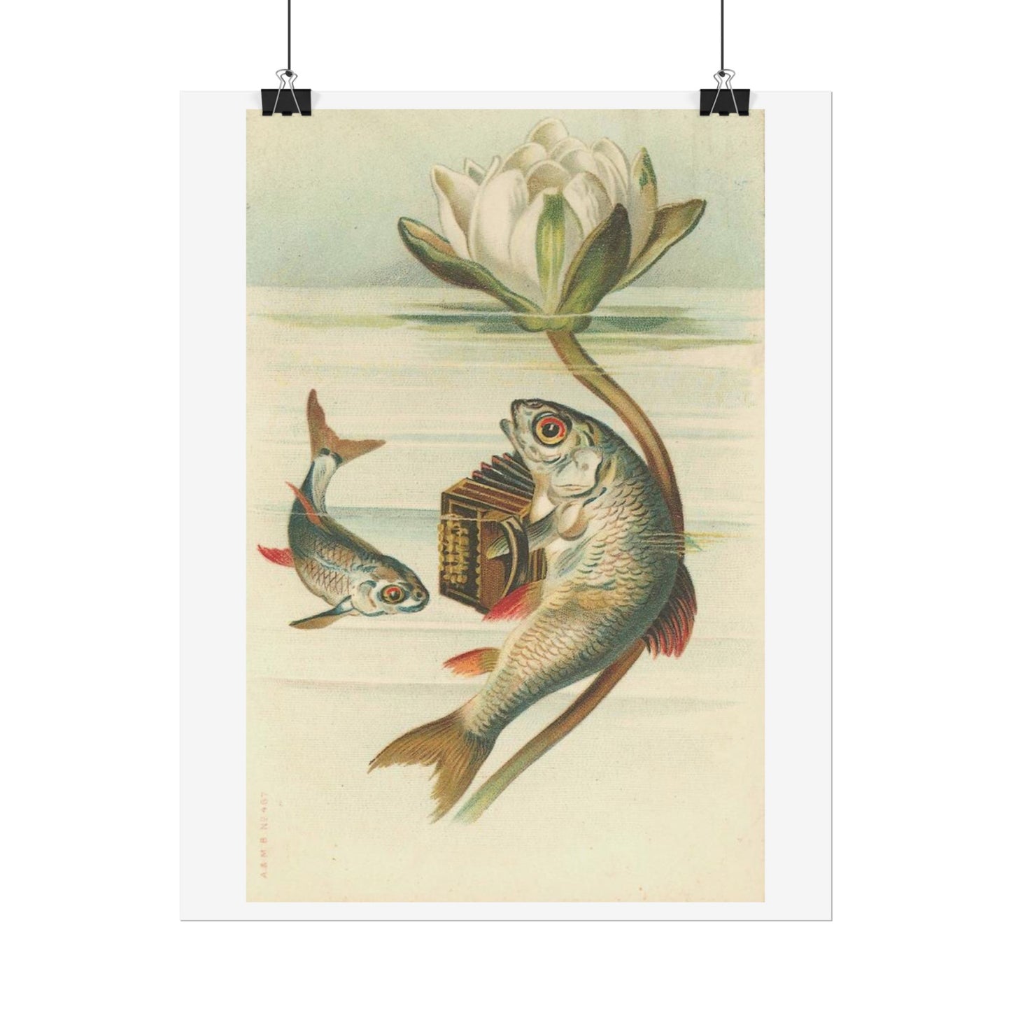 Fish Playing Accordion and Water Lilly