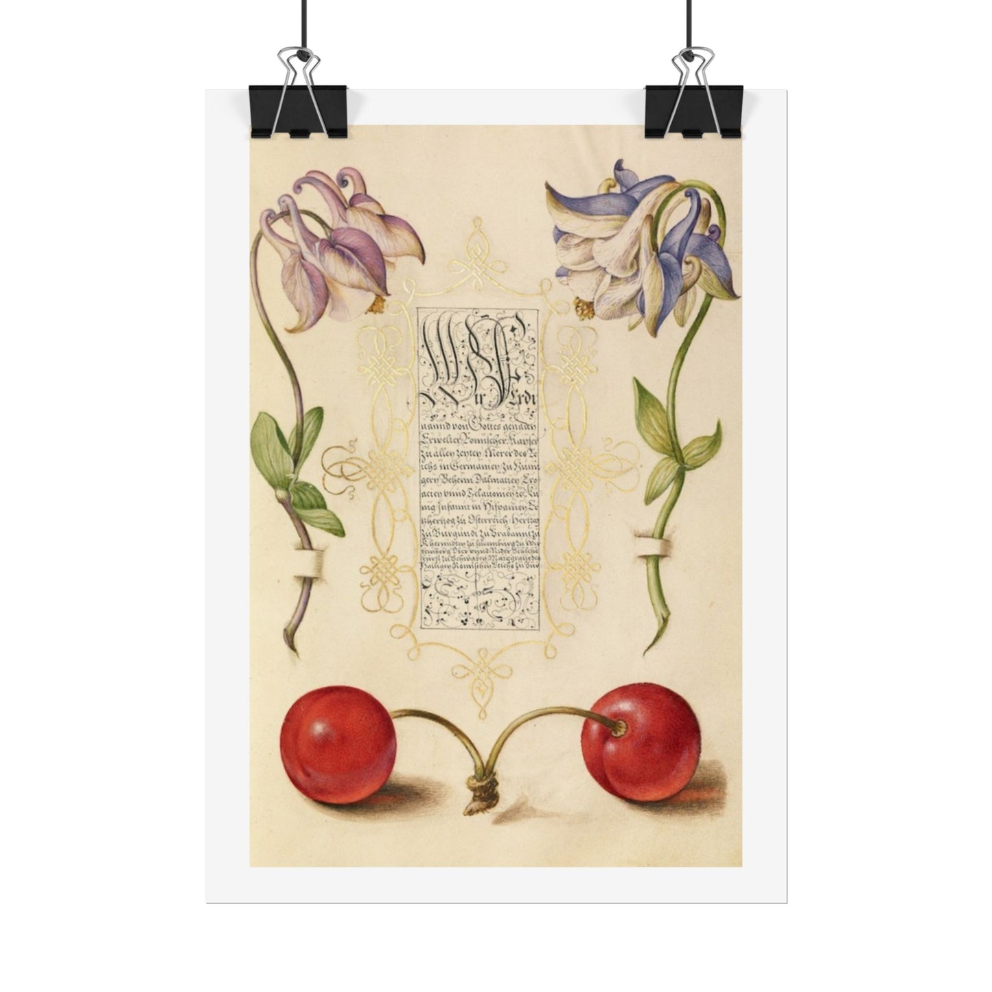 European Columbines and Sweet Cherry