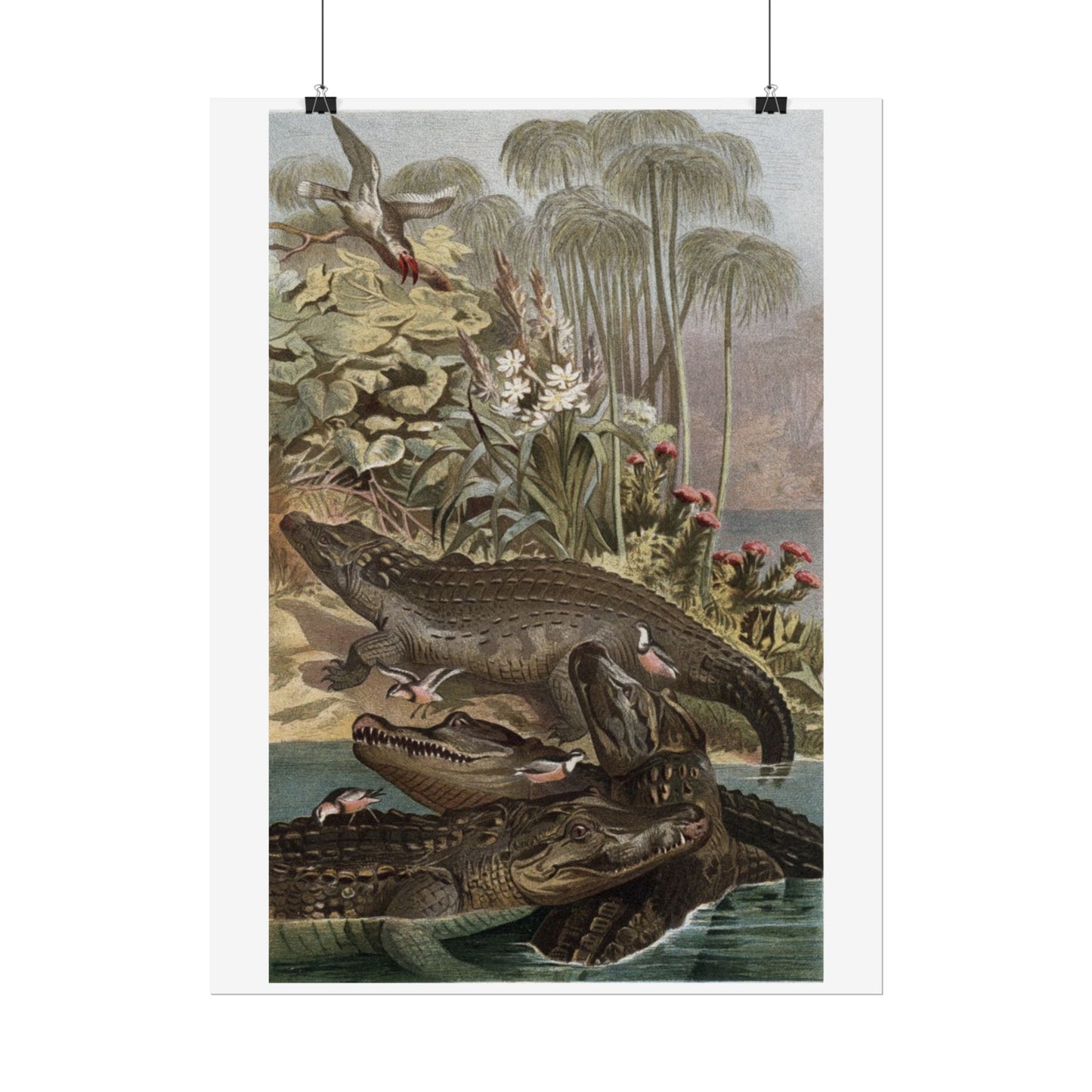 Nile Crocodile - Colourised Engraving from "Brehm's Life of Animals"