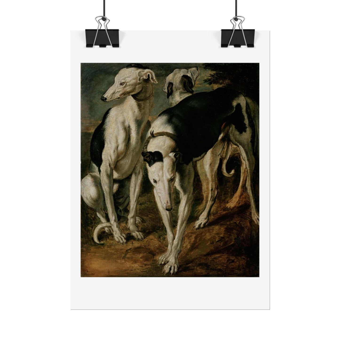 Three Greyhounds