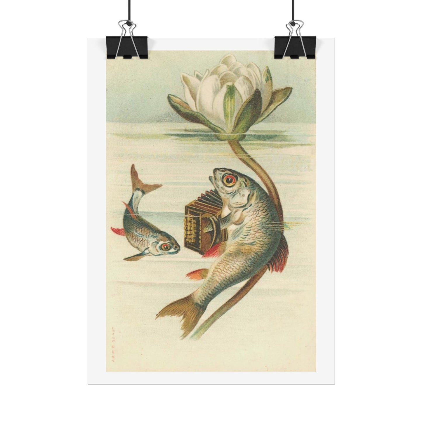 Fish Playing Accordion and Water Lilly