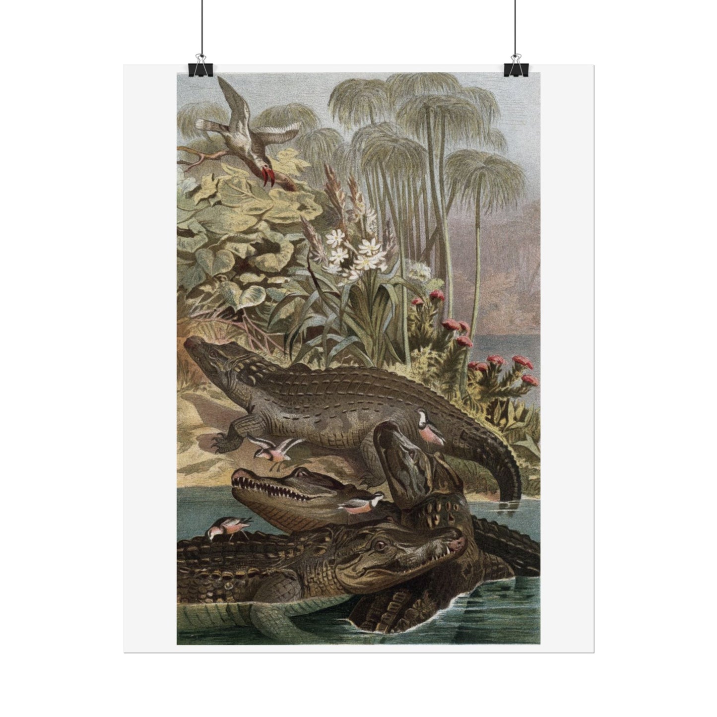 Nile Crocodile - Colourised Engraving from "Brehm's Life of Animals"