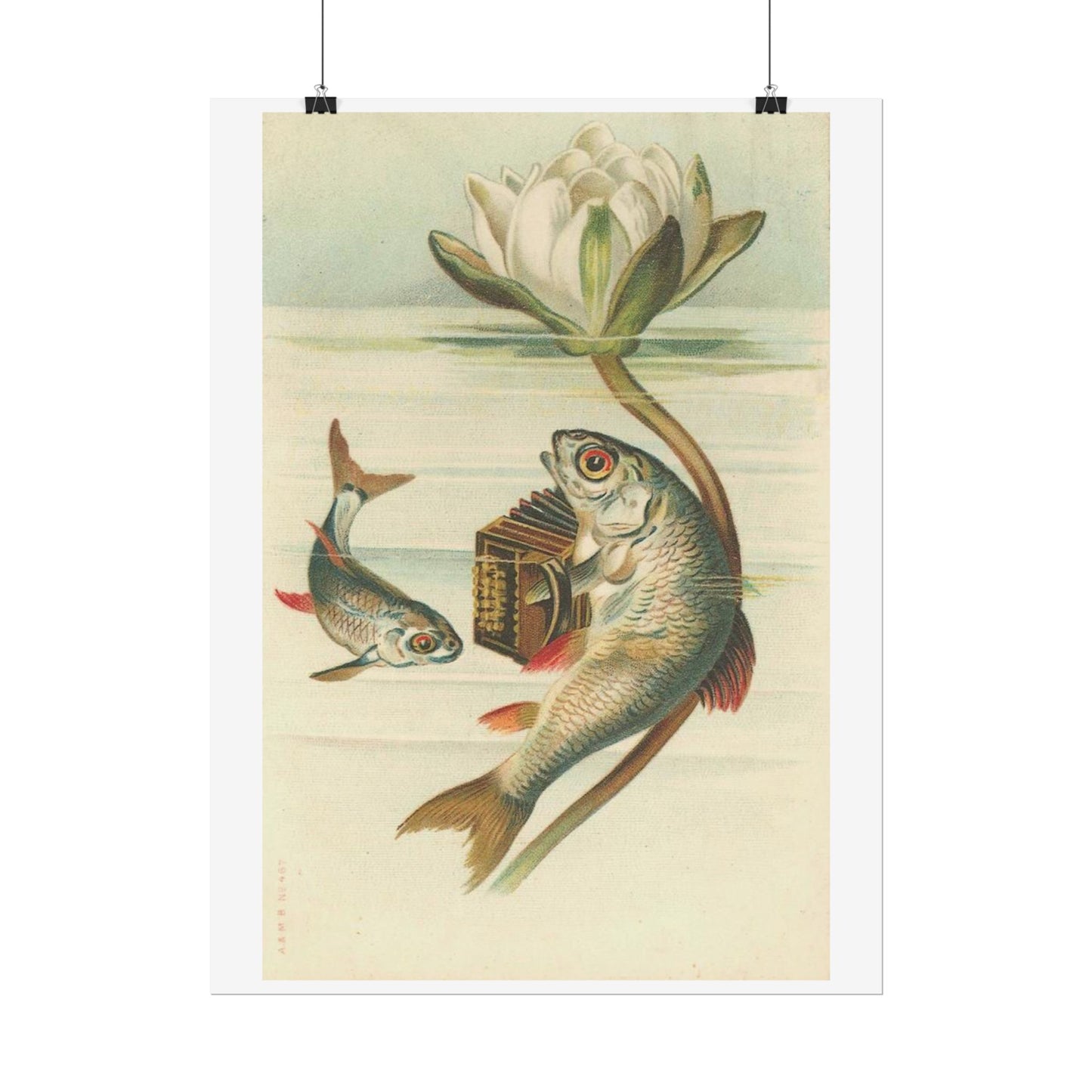 Fish Playing Accordion and Water Lilly