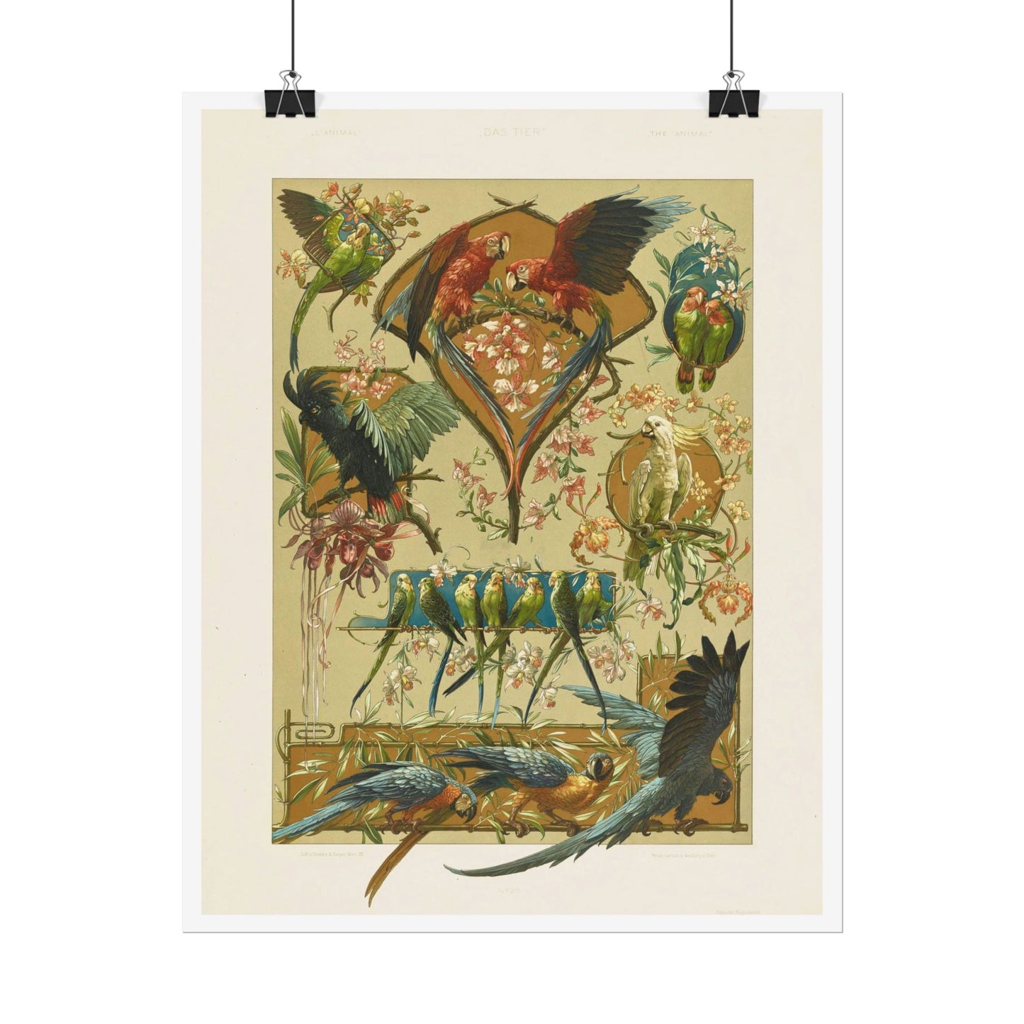 Parrots - from "The Animal in Decorative Art"