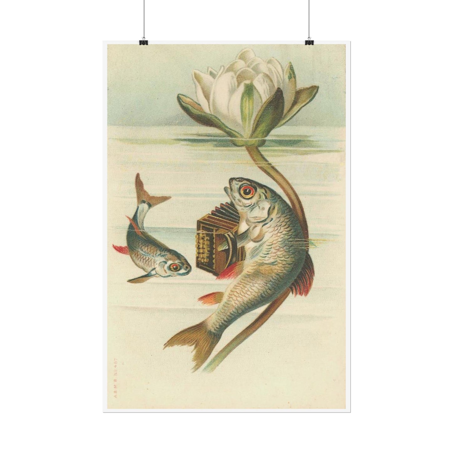 Fish Playing Accordion and Water Lilly
