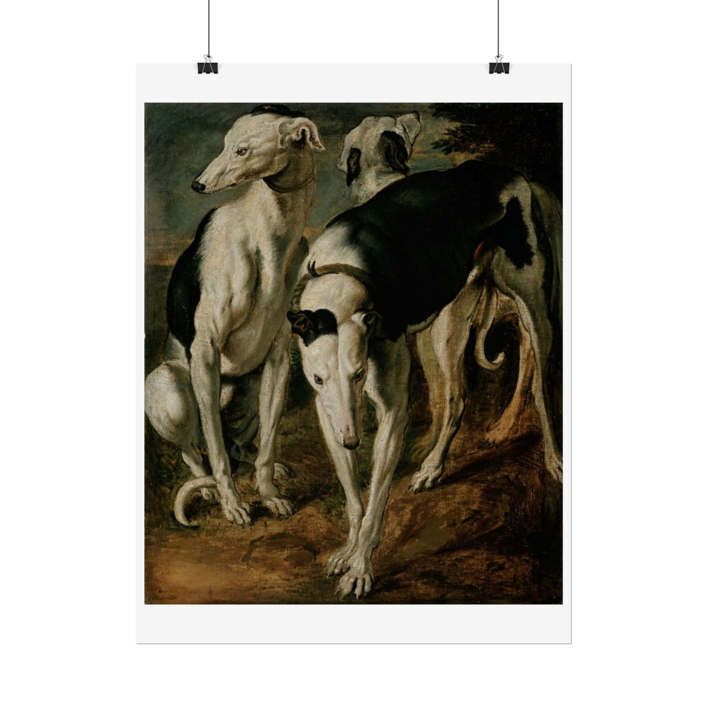 Three Greyhounds
