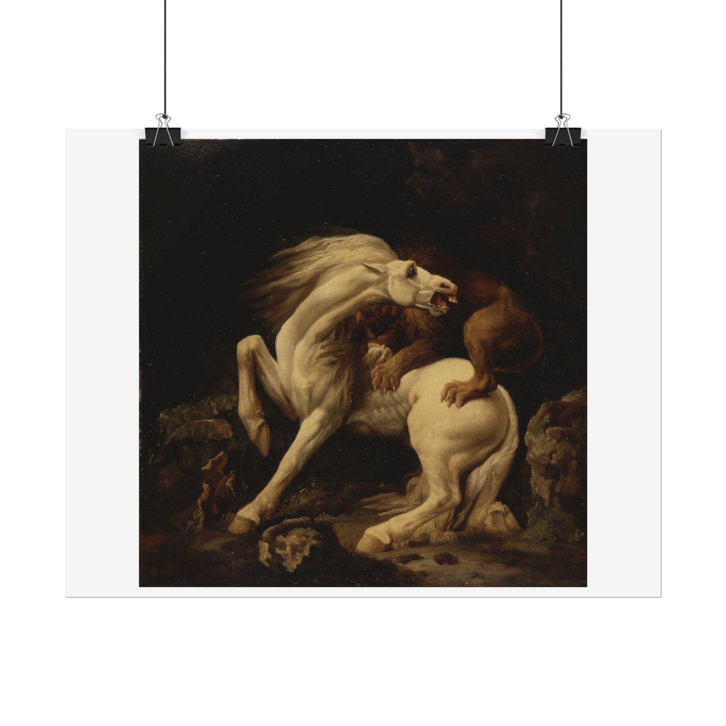 Horse attacked by a Lion