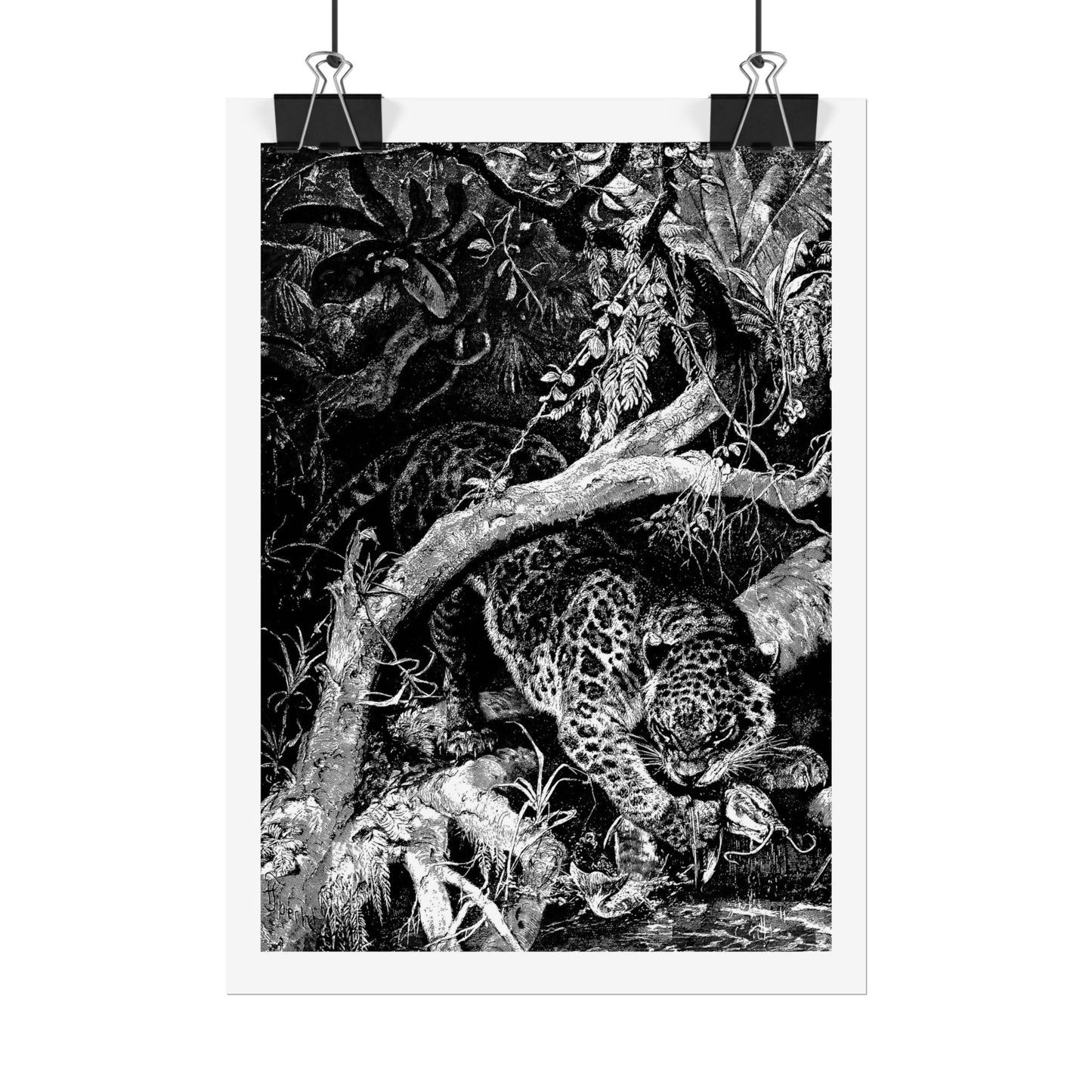 Jaguar catching a Fish - Engraving from "Brehm's Life of Animals"