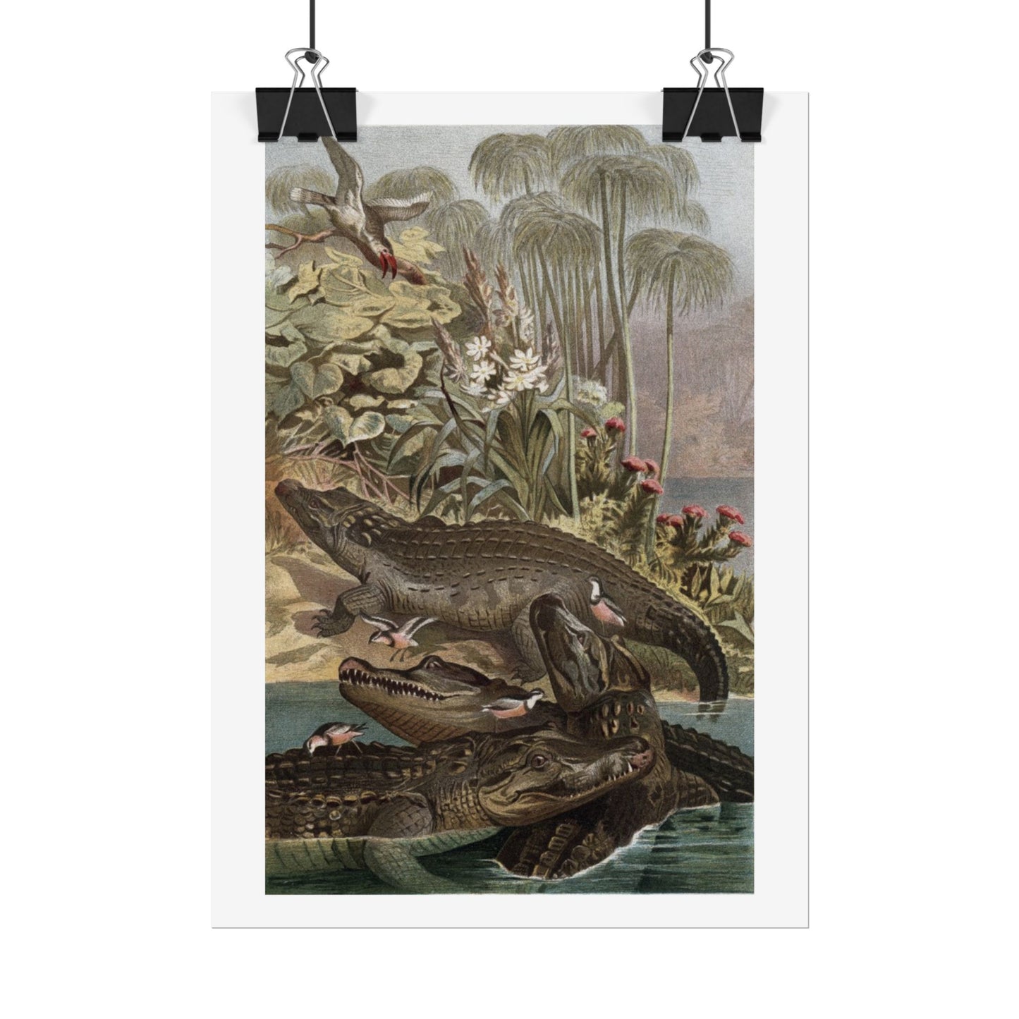 Nile Crocodile - Colourised Engraving from "Brehm's Life of Animals"