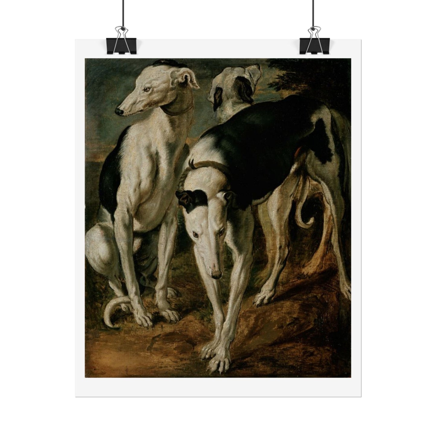 Three Greyhounds