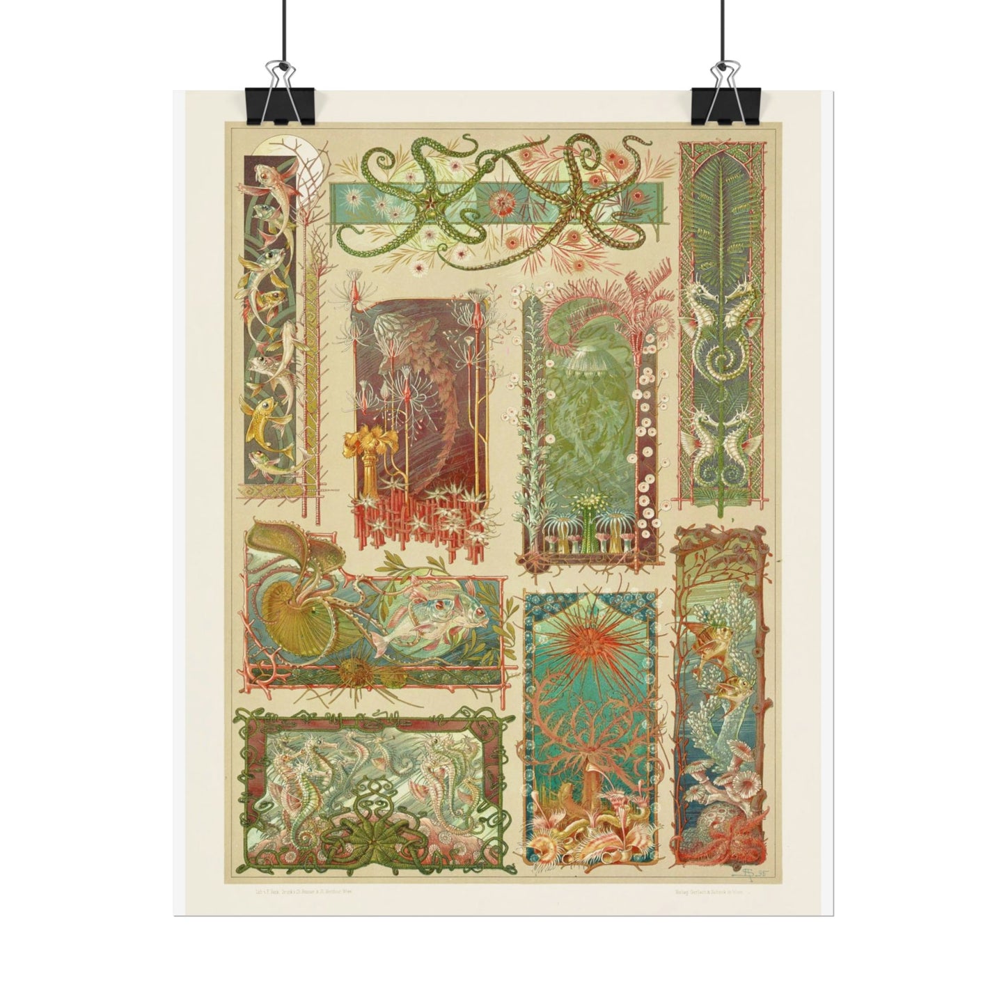 Sea Life - From "The Animal in Decorative Art"