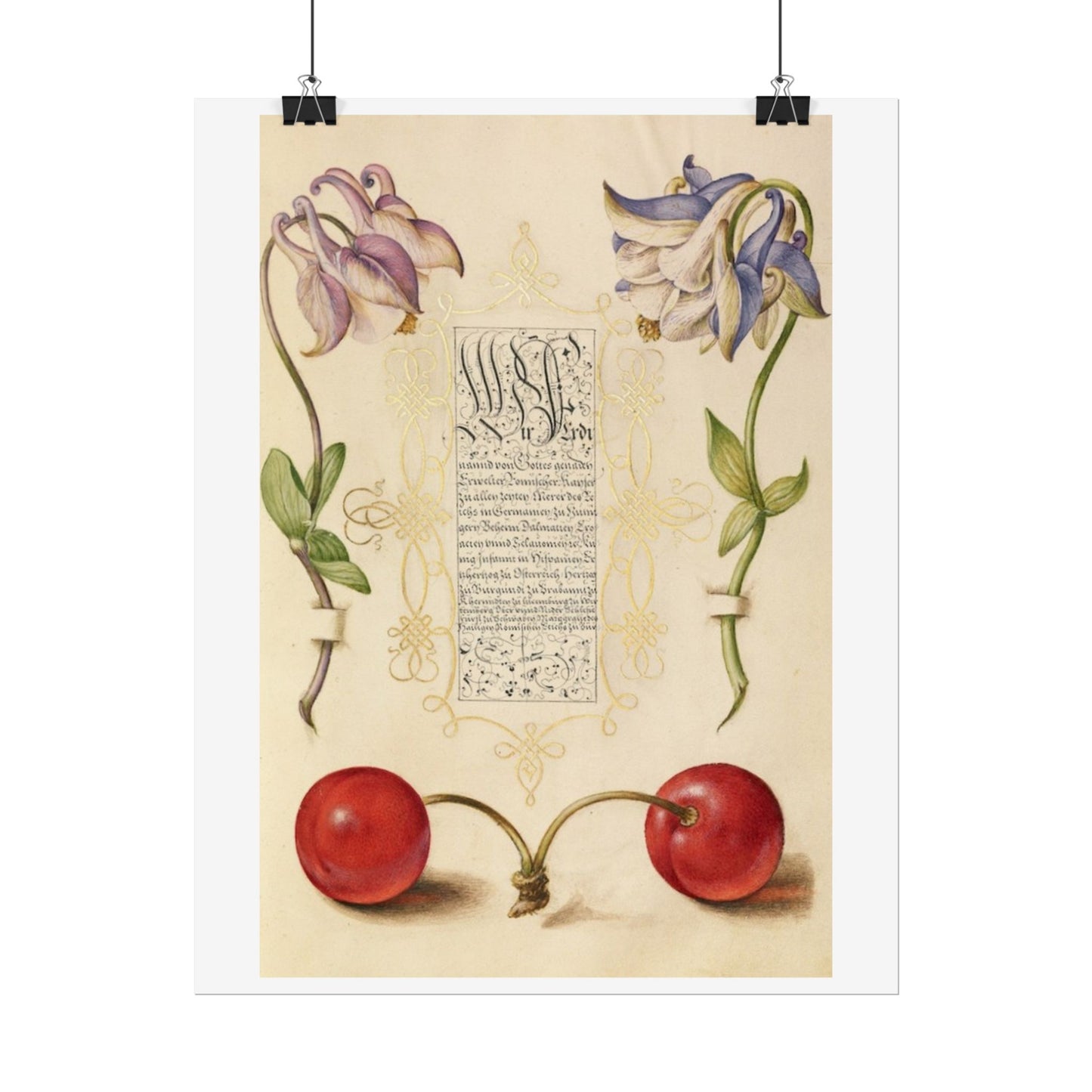 European Columbines and Sweet Cherry