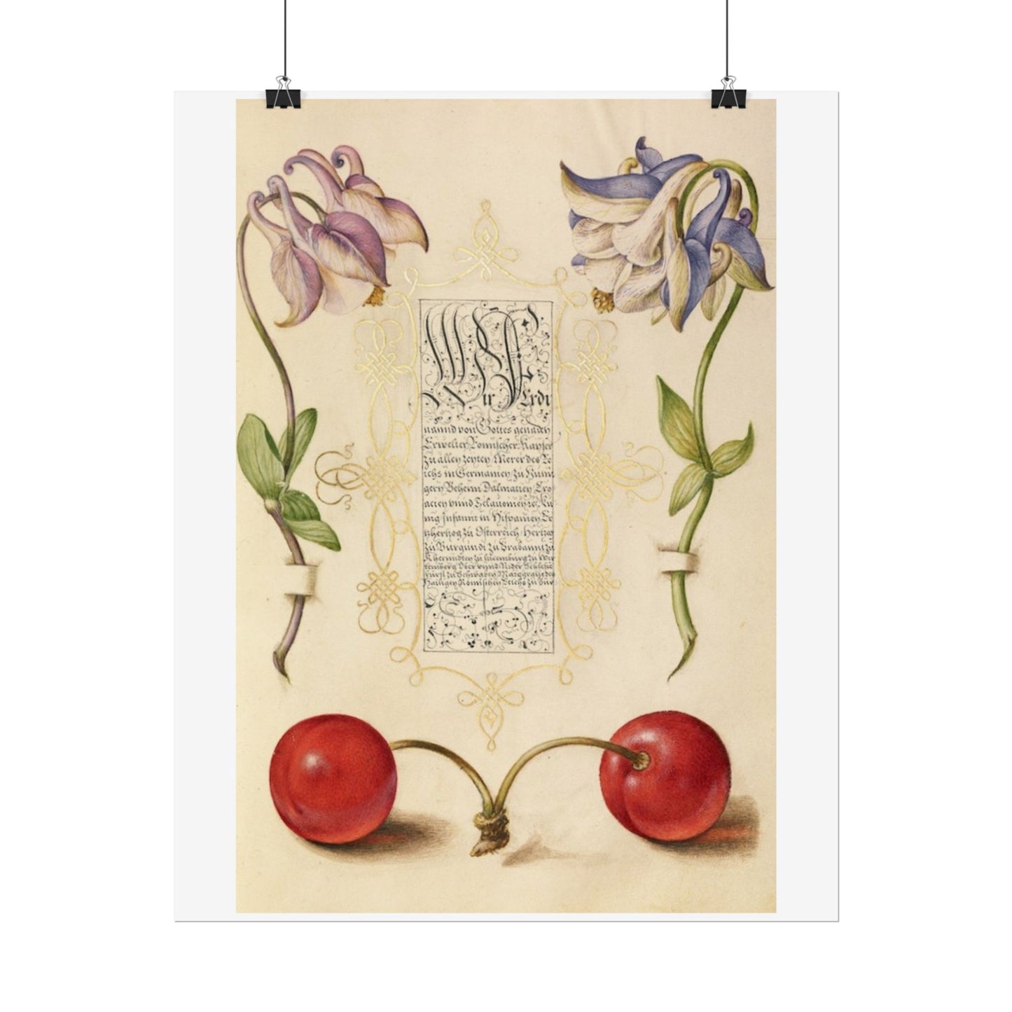 European Columbines and Sweet Cherry