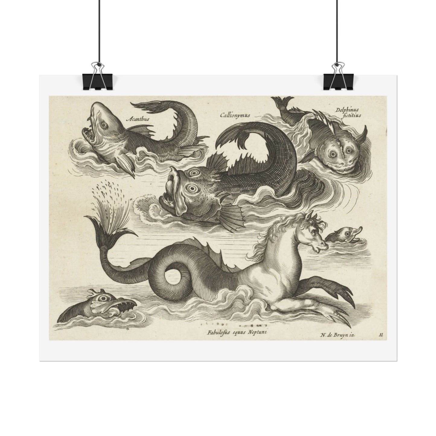 Fantastic Invertebrates, Including a Seahorse.