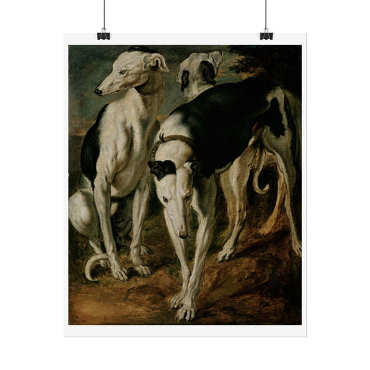 Three Greyhounds