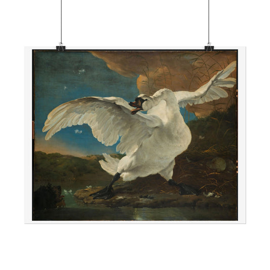 The Threatened Swan