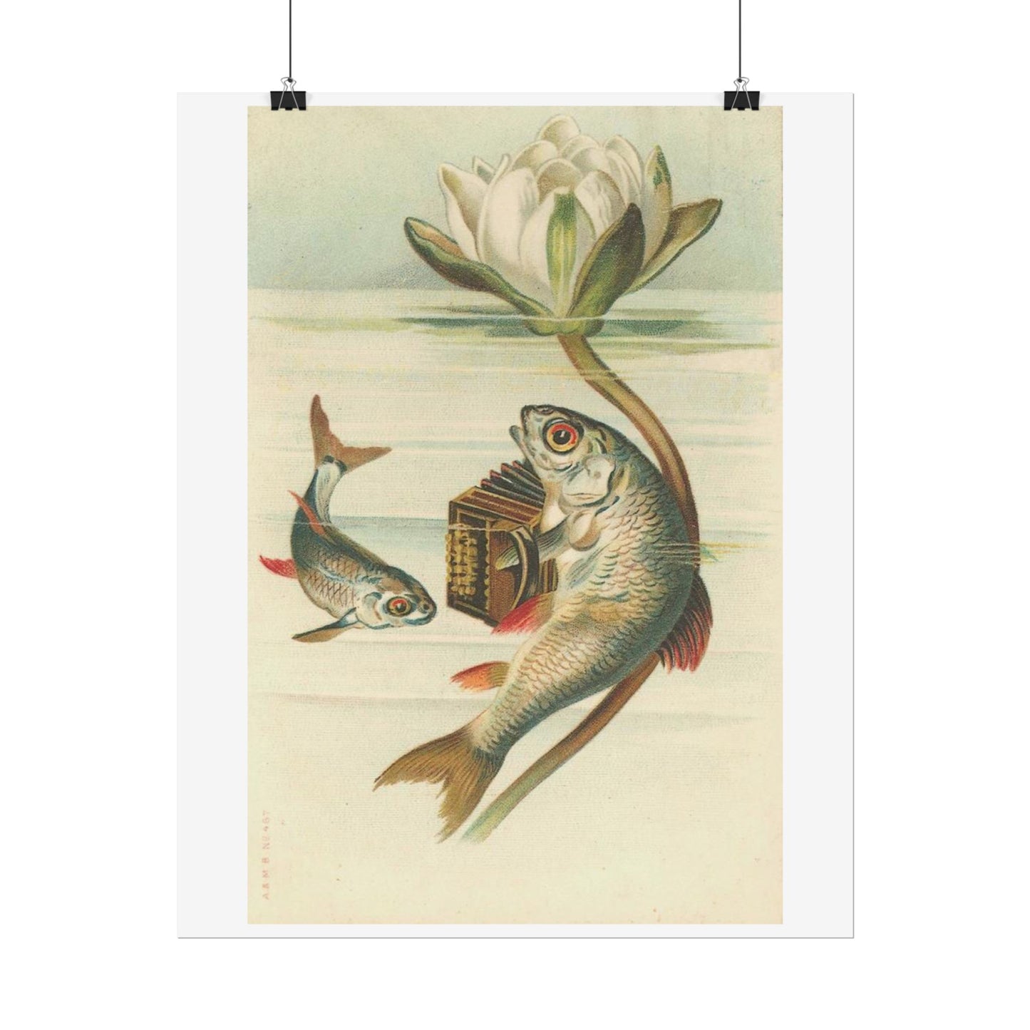 Fish Playing Accordion and Water Lilly