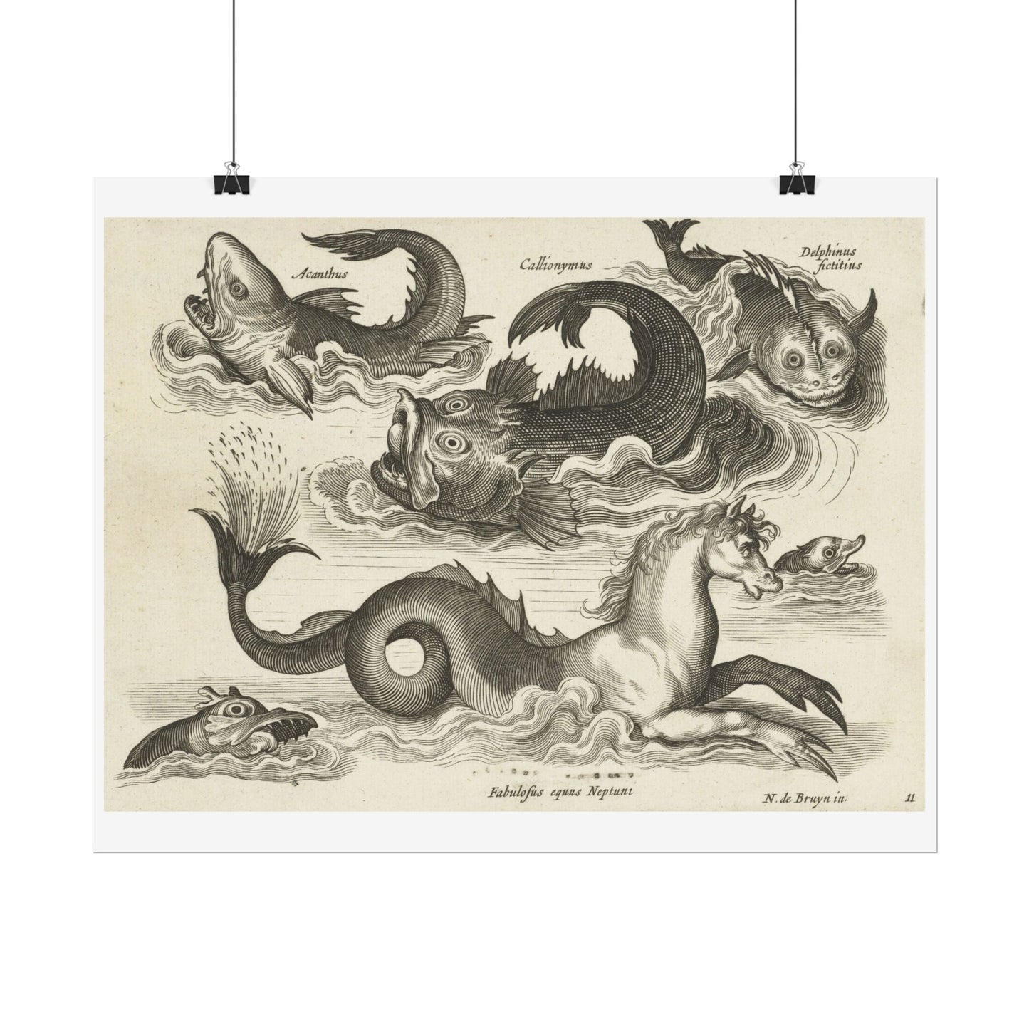 Fantastic Invertebrates, Including a Seahorse.