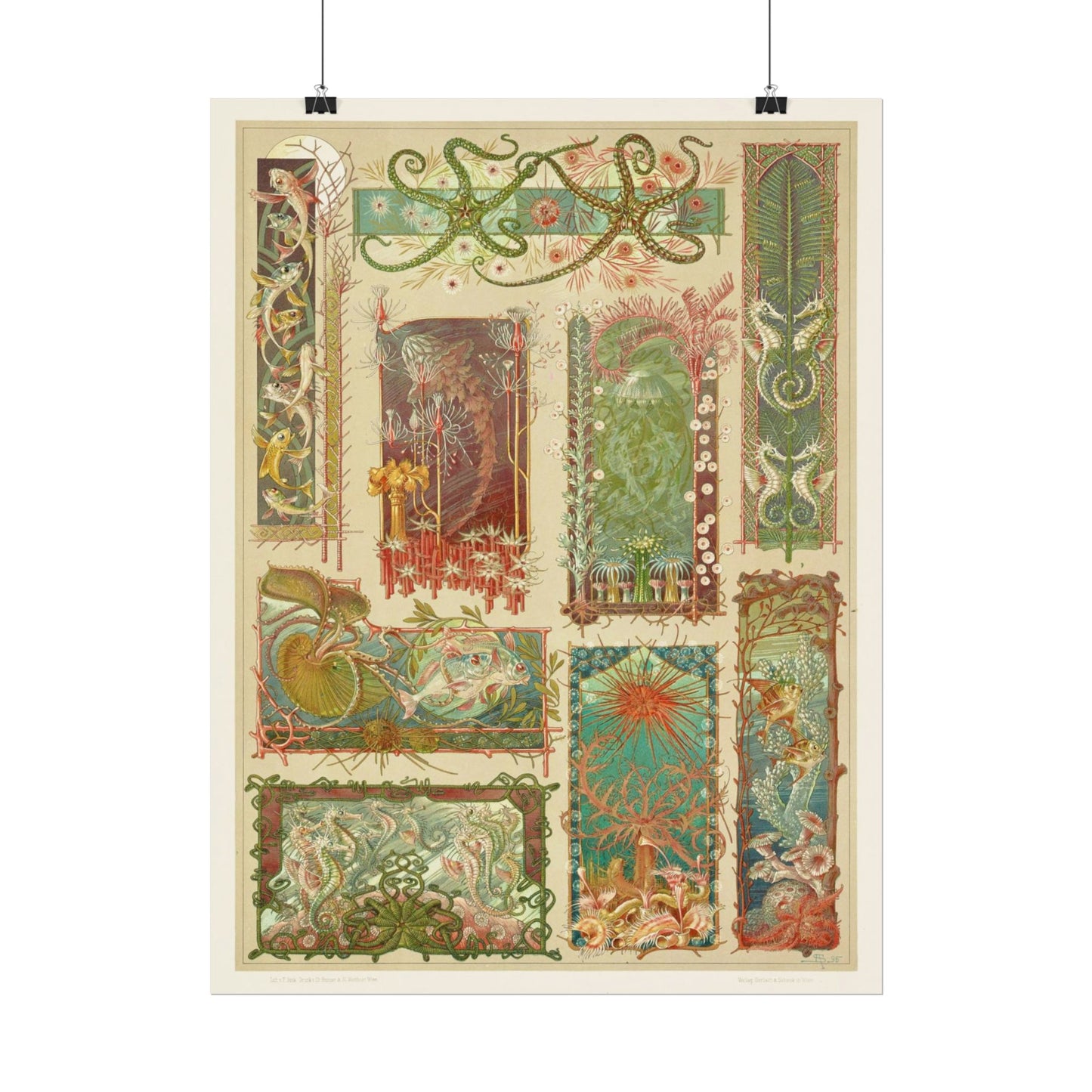 Sea Life - From "The Animal in Decorative Art"