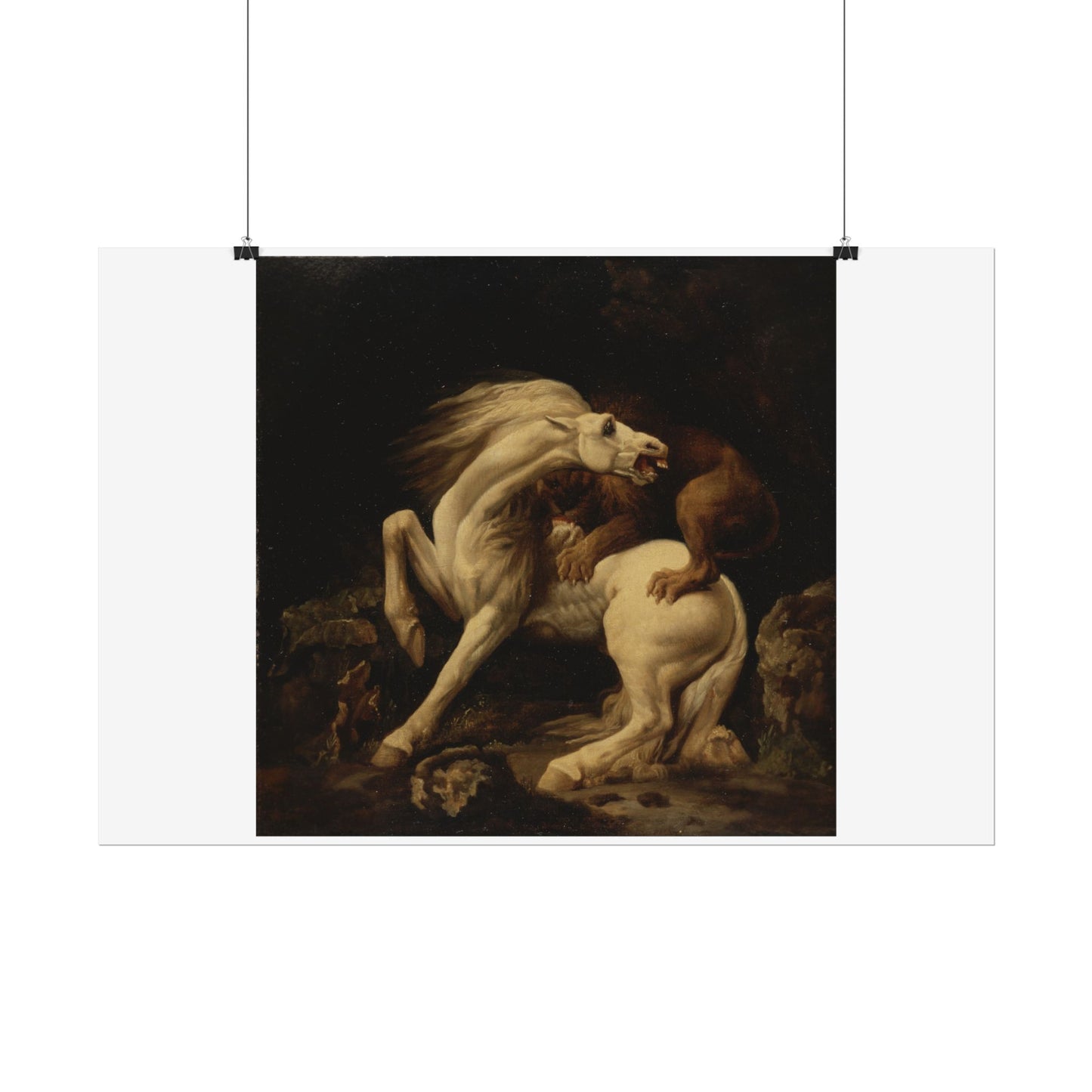 Horse attacked by a Lion