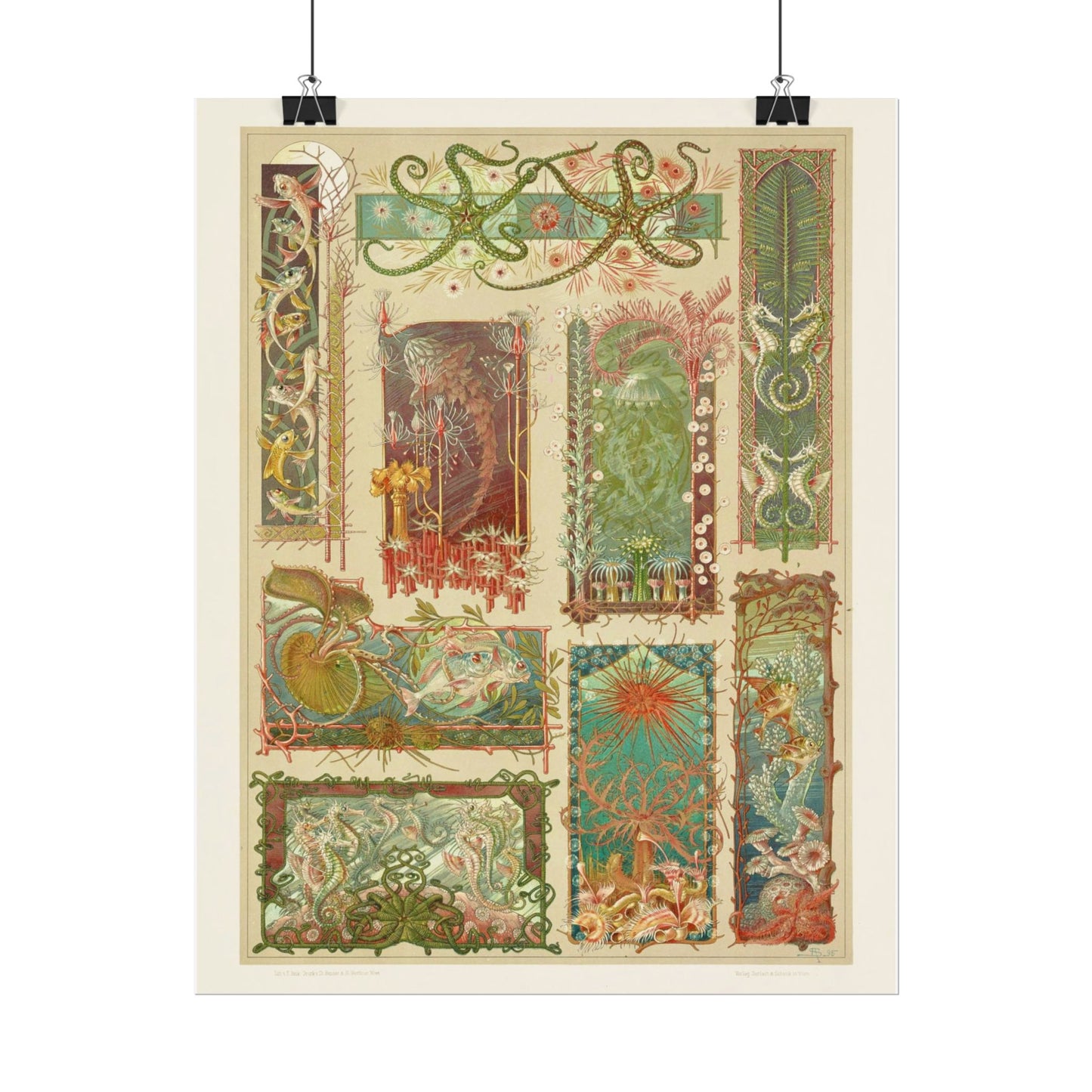 Sea Life - From "The Animal in Decorative Art"