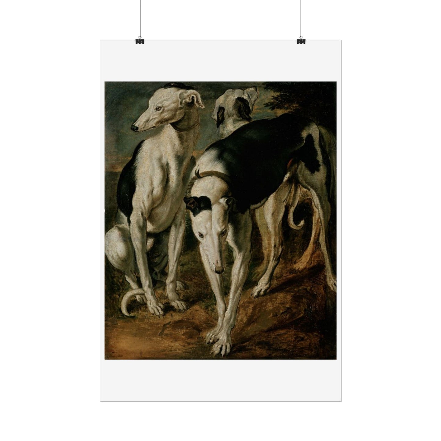 Three Greyhounds